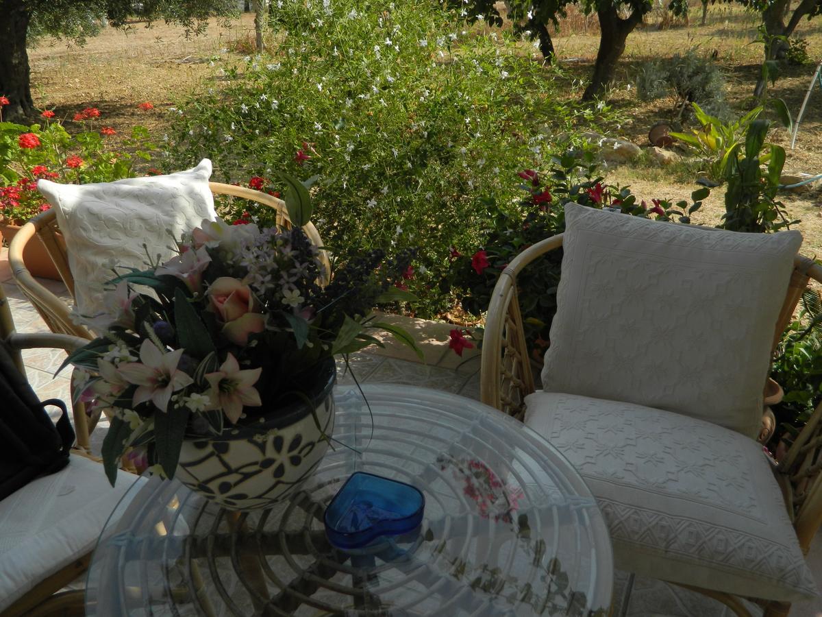 Uliveto House Bed and Breakfast Castellammare del Golfo Exteriör bild