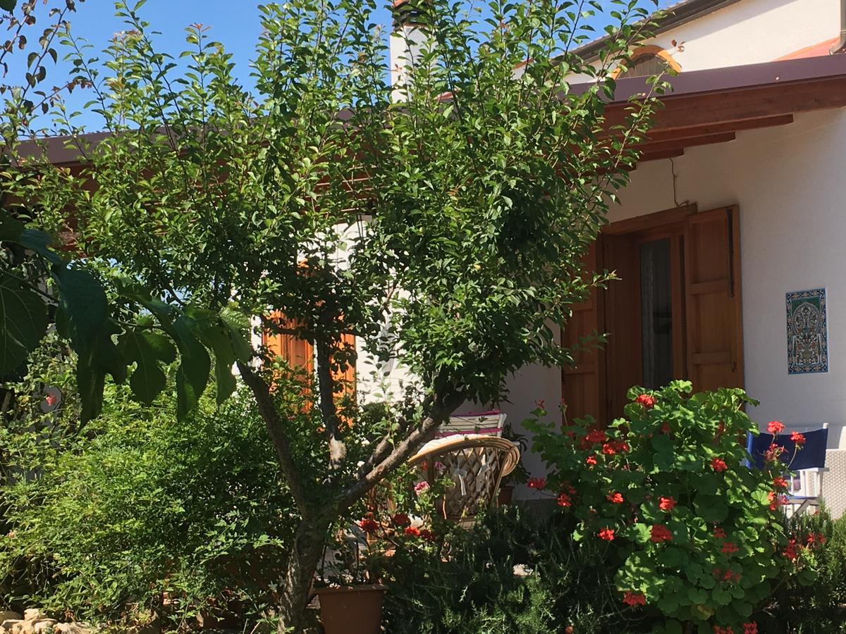 Uliveto House Bed and Breakfast Castellammare del Golfo Exteriör bild